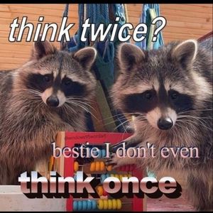 Meet your Posher, Silas